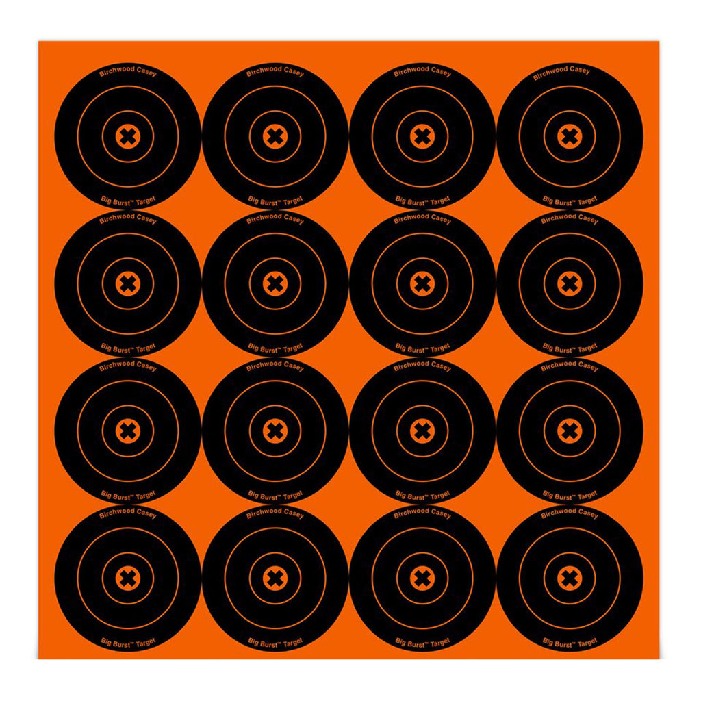 Big Burst Targets - 3" Round