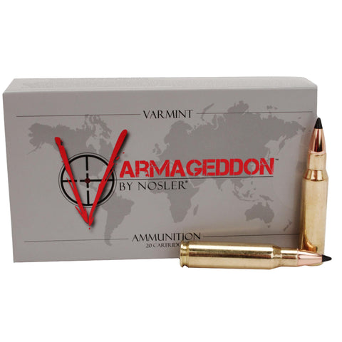 308 Winchester Ammunition - 308 Winchester, 110 Grains, Tipped Flat Base, Per 20