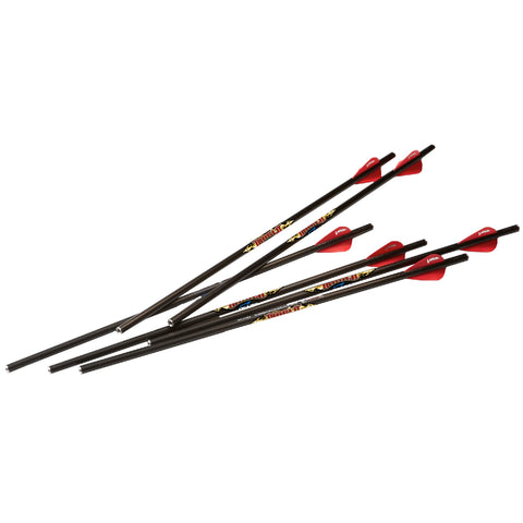 Diablo 18" Carbon Arrows - 6 Pack