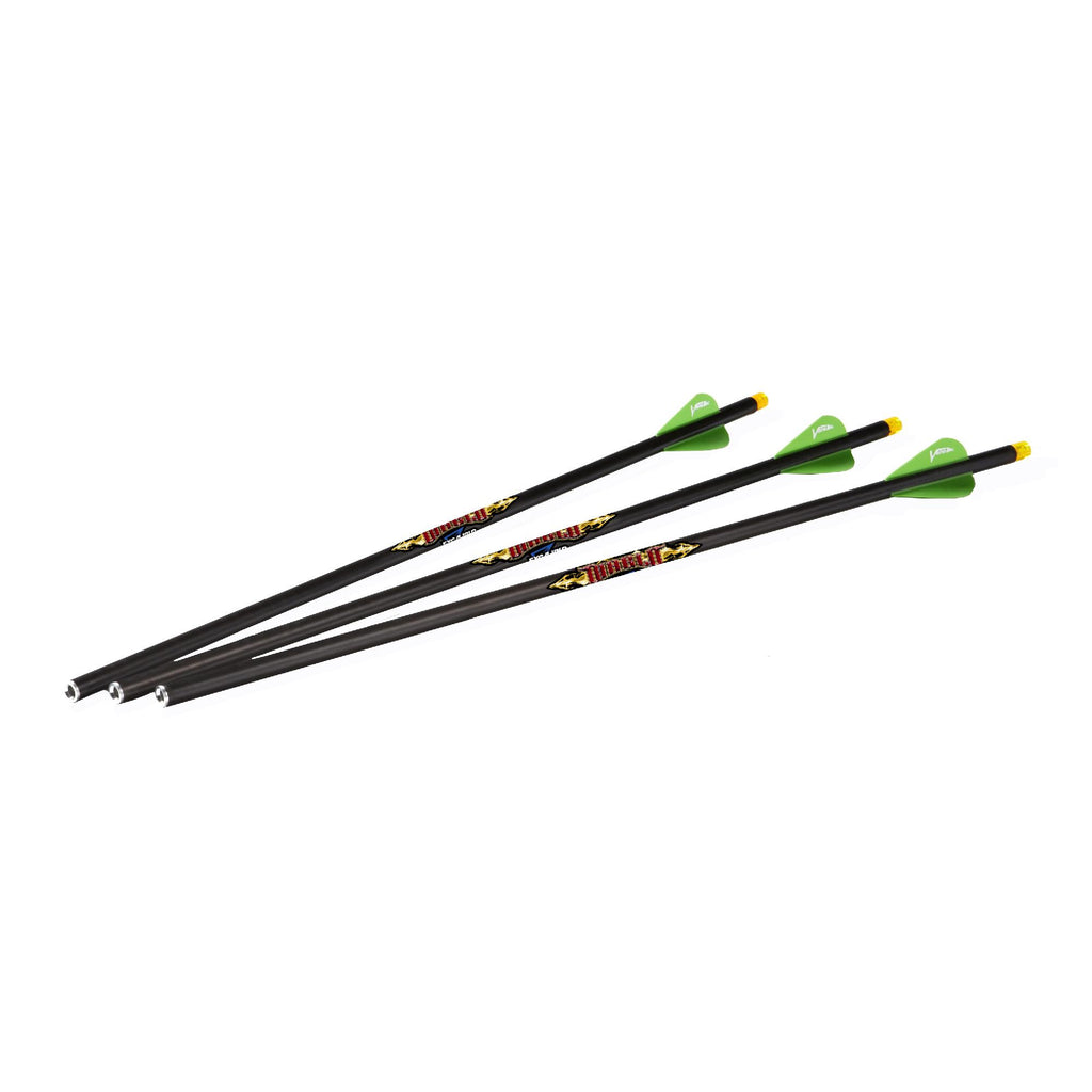 Diablo 18" Carbon Arrows - 3 Pack, Illuminated