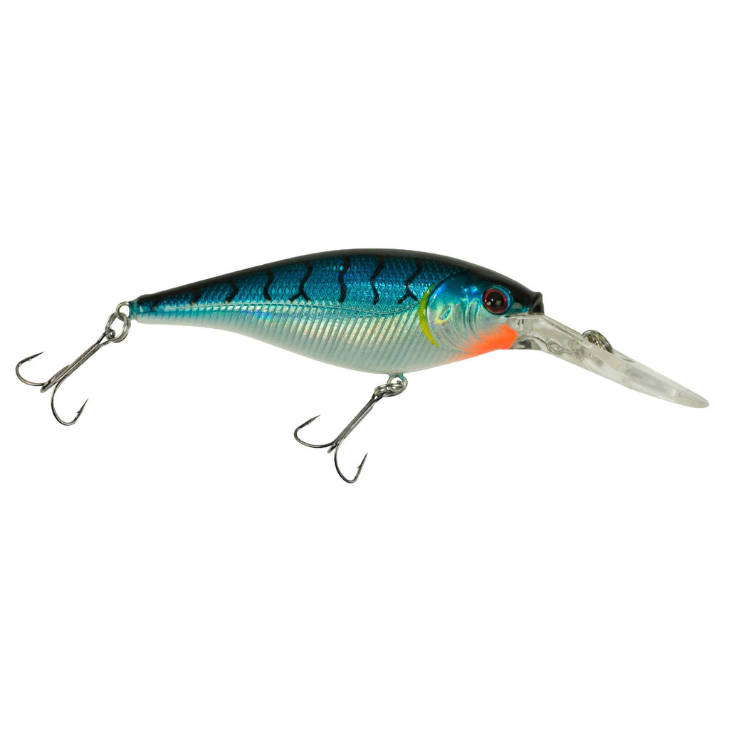 Flicker Shad Hard Bait - 2" Length, 9'-11' Swimming Depth, 2 Hooks, Blue Tiger, Per 1