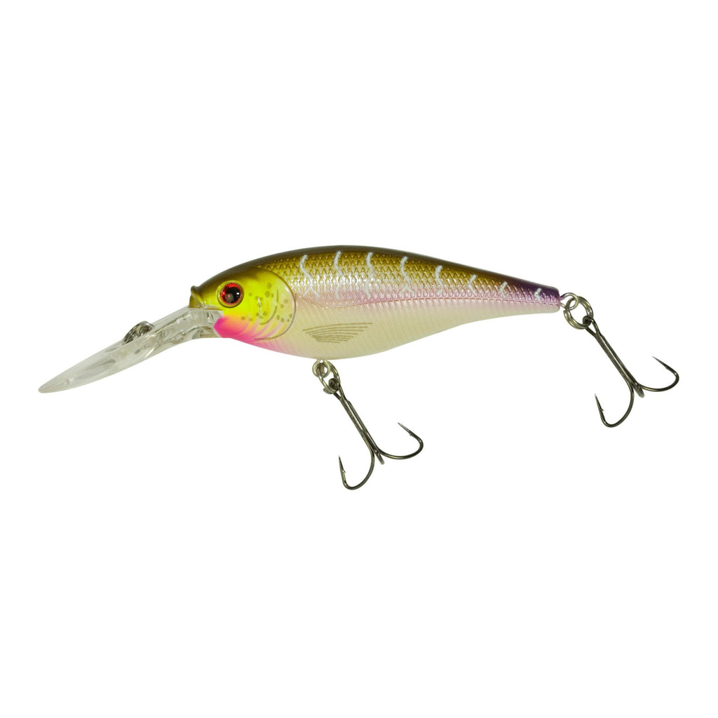 Flicker Shad Hard Bait - 2" Length, 9'-11' Swimming Depth, 2 Hooks, Purple Tiger, Per 1