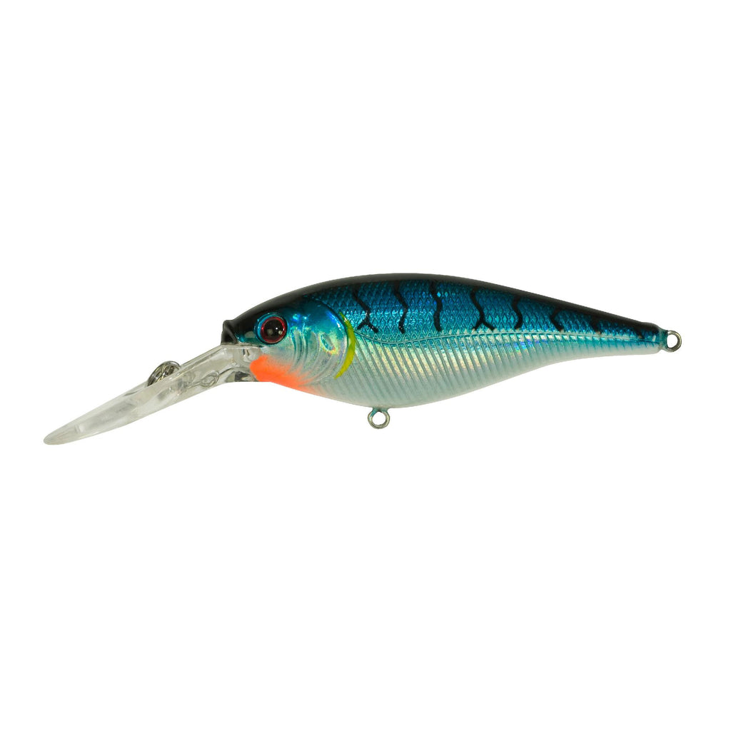 Flicker Shad Hard Bait - 1 1-2" Length, 6'-8' Swimming Depth, 2 Hooks, Blue Tiger, Per 1