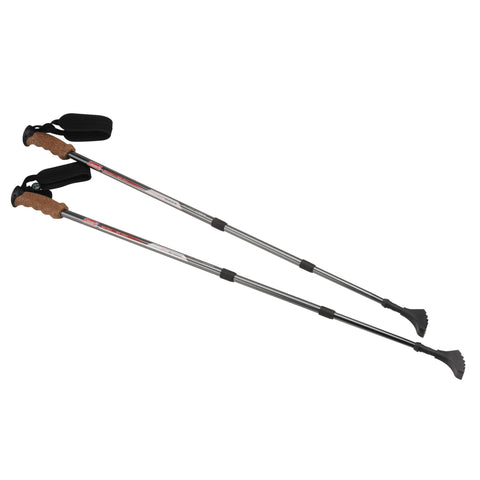 Trekking Pole - 2 Piece