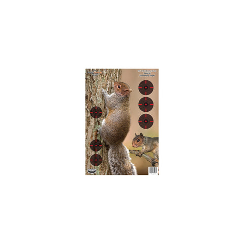 Pregame Targets - Squirrel 12" x 18" (Per 8)