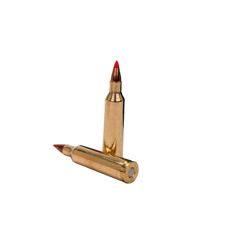 22-250 Remington - 55 Gr V-MAX (Per 20)