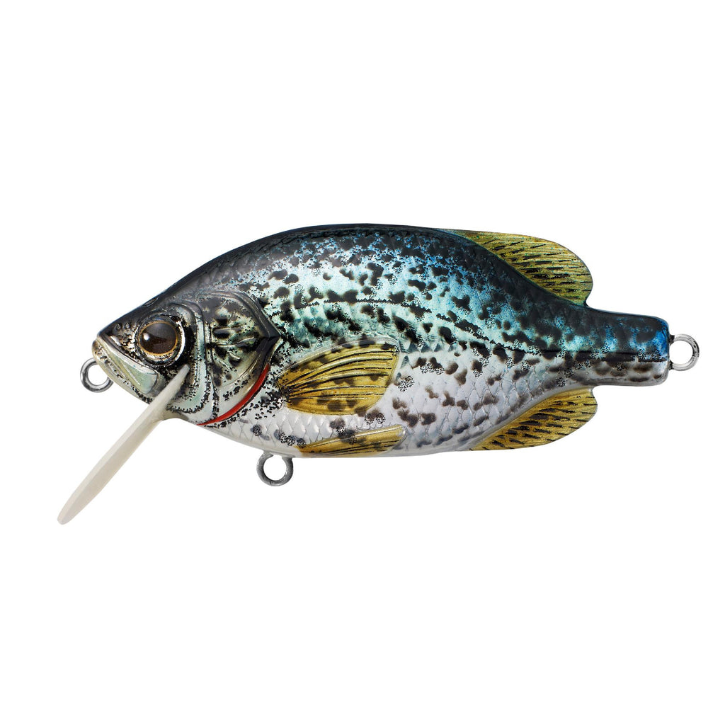 Crappie Crankbait - Freshwater, 2 1-2", #4 Hook, 4'-5' Depth, Metallic-Gloss