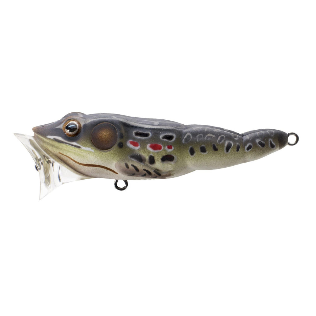 Frog Popper - Freshwater, 2 1-2", #6 Hook, Topwater Depth, Brown-Black