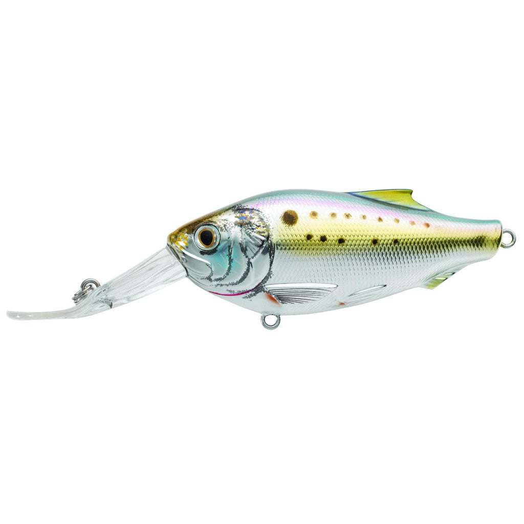 Menhaden Crankbait - Saltwater, 5 1-4", #2-0 Hook, 0'-20'+ De[th, Natural-Metallic