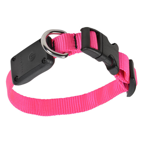 Nite Dawg LED Light Up Dog Collar XS - Neon Pink