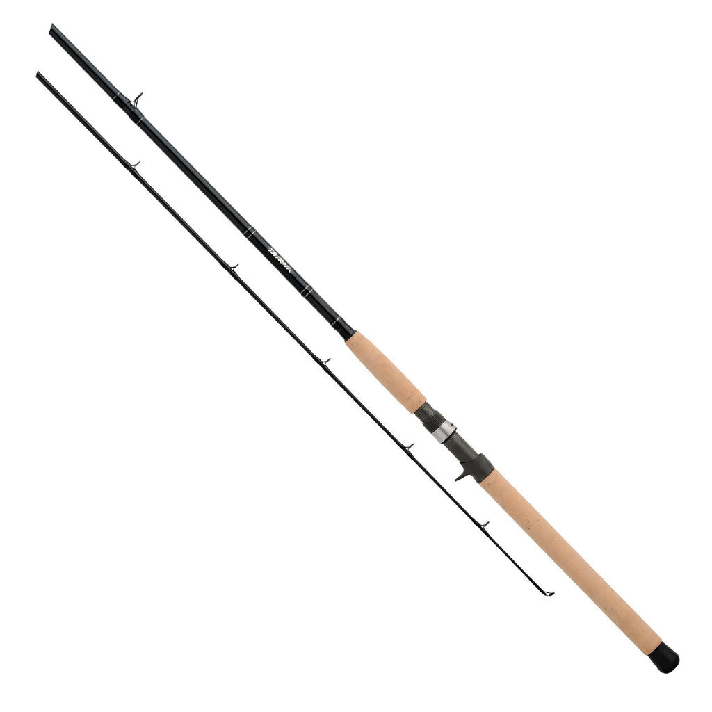 DXS Salmon and Steelhead Casting Rod - 10'6" Length, 2 Piece Rod, Medium-Light Power, Fast Action