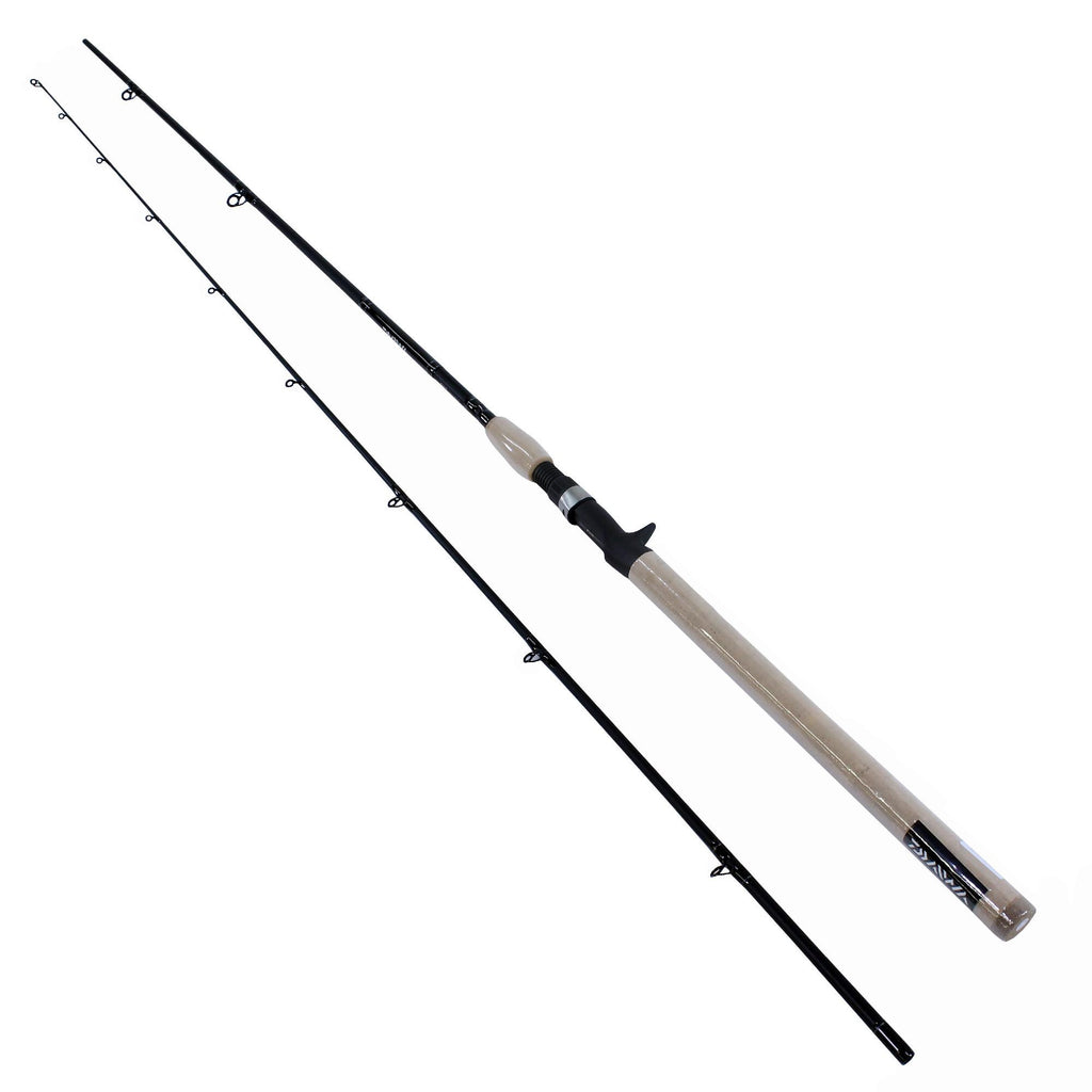 DXS Salmon and Steelhead Casting Rod - 9' Length, 2 Piece Rod, Medium Power, Fast Action