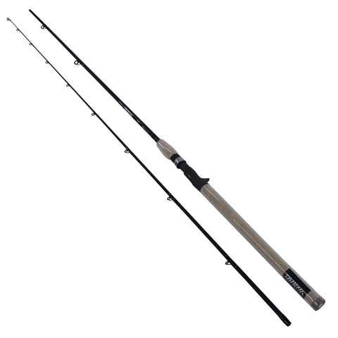 DXS Salmon and Steelhead Casting Rod - 9' Length, 2 Piece Rod, Medium-Light Power, Fast Action