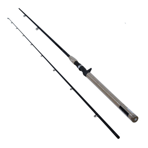 DXS Salmon and Steelhead Casting Rod - 9'6" Length, 2 Piece Rod, Medium Power, Fast Action