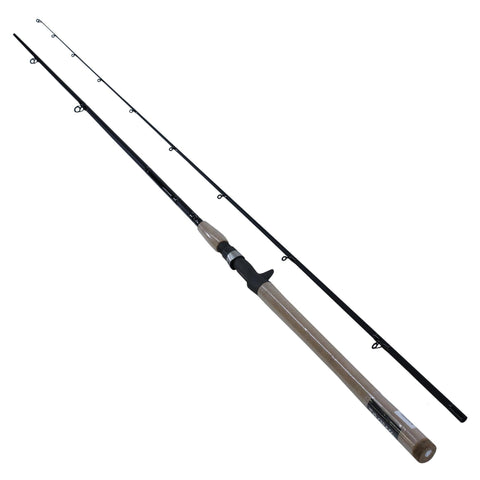 DXS Salmon and Steelhead Casting Rod - 9'6" Length, 2 Piece Rod, Medium-Light Power, Fast Action