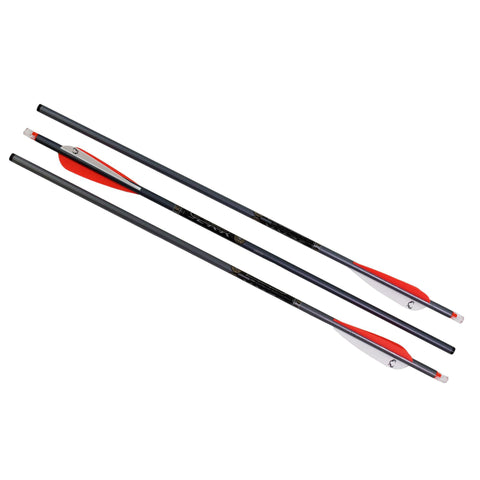 Omni-Brite 2.0 Lighted 20" Arrows - 2219, Aluminum, Per 3