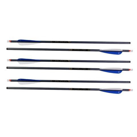 Omni-Brite 2.0 Lighted 20" Arrows - 2219, Aluminum, Per 6