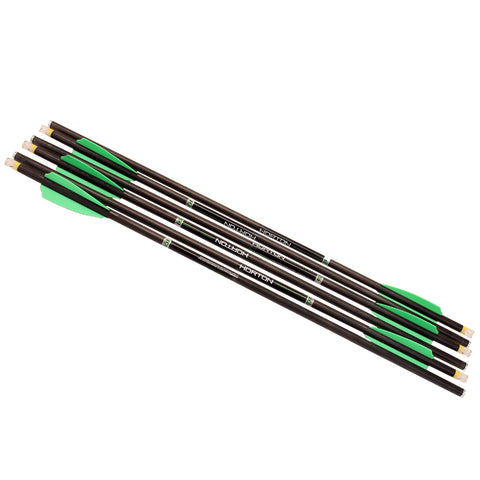 20" Omni Brite 2.0 Lighted Carbon Arrows - 6 Pack