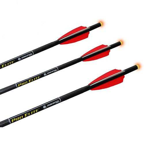 Omni-Brite 2.0 Lighted Arrow - 22" Carbon, Pro-V, 3 Pack