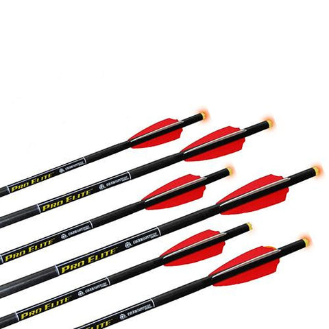 Omni-Brite 2.0 Lighted Arrow - 22" Carbon, Pro-V, 6 Pack