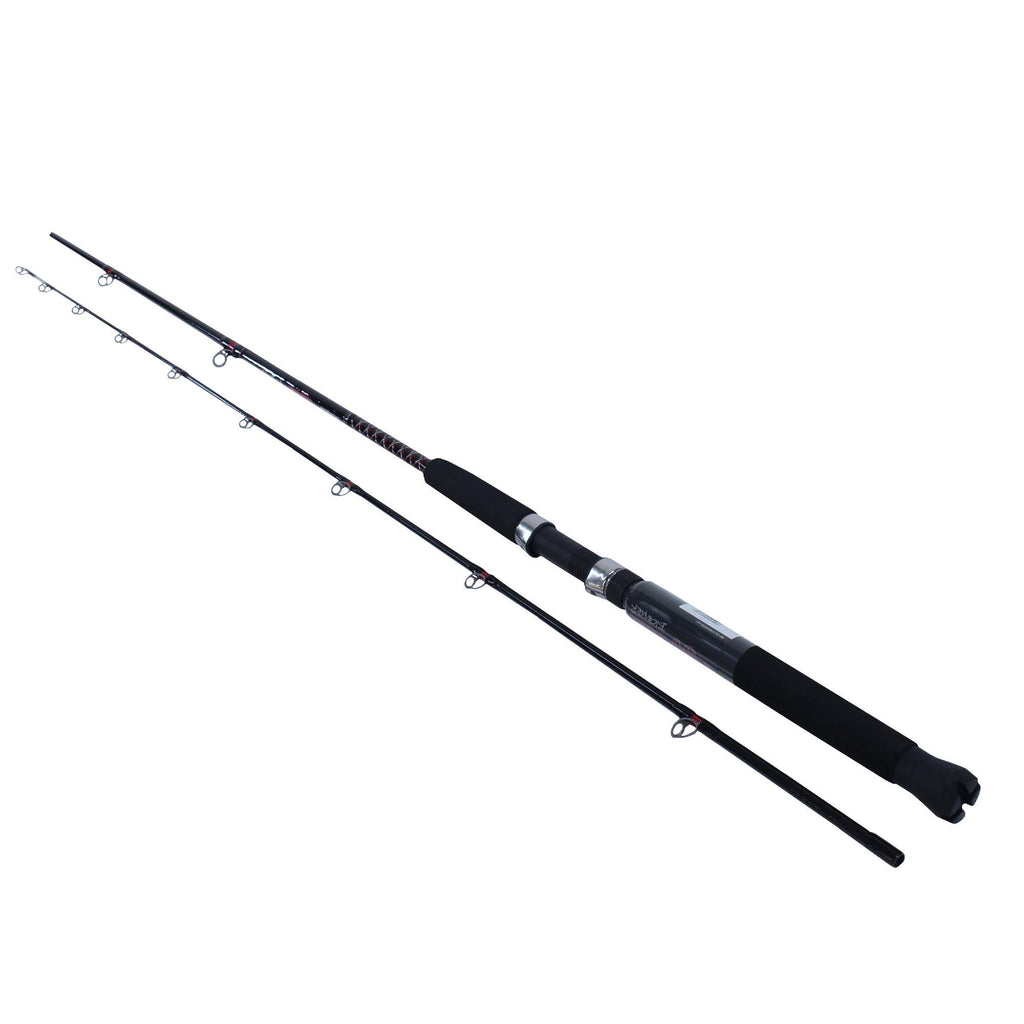 Bigwater Casting Rod - 9' Length, 2 Piece Rod, 6-20 lb Line Rating, Light Power