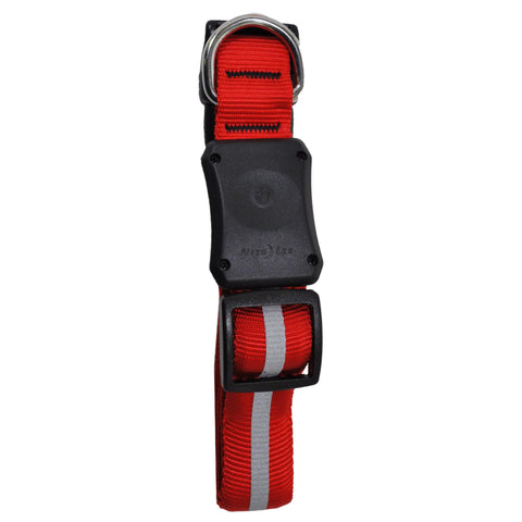 Nite Dawg LED Dog Collar - Medium, Red