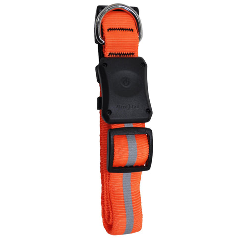 Nite Dawg LED Dog Collar - Medium, Orange