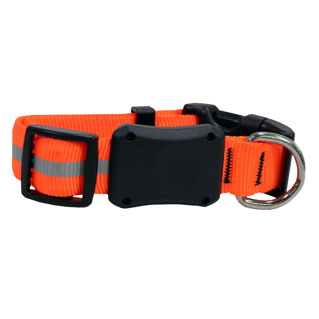 Nite Dawg LED Dog Collar, Small, Orange