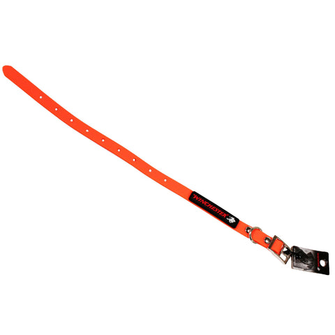 WSP Leashes and Leads - 13" Length, 1" Width, All Season Material, Orange