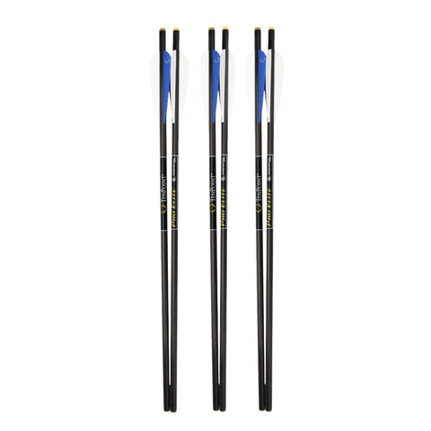 20" Pro Elite Carbon Arrows - Carbon Bright, 6 Pack