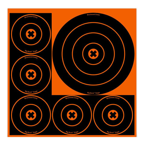 Big Burst Targets - 8" and 4" Round