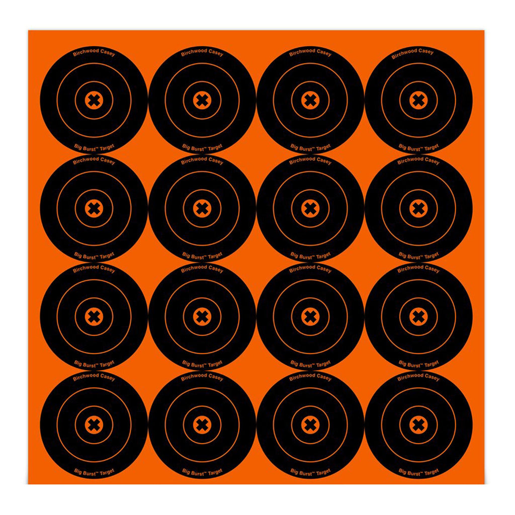 Big Burst Targets - 3" Round