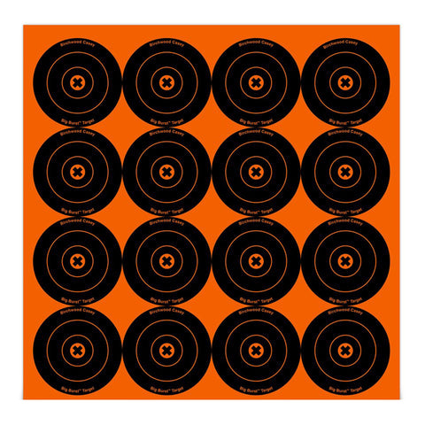 Big Burst Targets - 3" Round