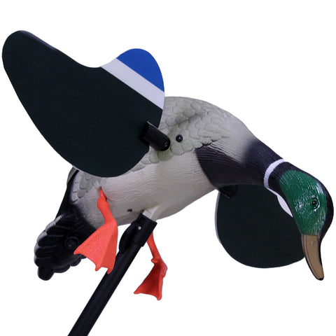 MOJO Mallard Drake - Decoy Only